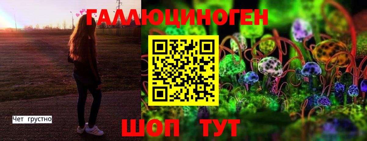 Псилоцибиновые грибы Psilocybine cubensis Карабулак